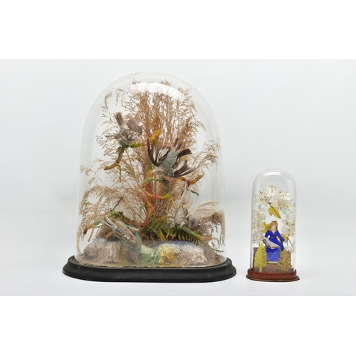 300 - TAXIDERMY: A LATE VICTORIAN GLASS DOME ON AN OVAL EBONISED BASE CONTAINING A DISPLAY OF FOUR SMALL E... 