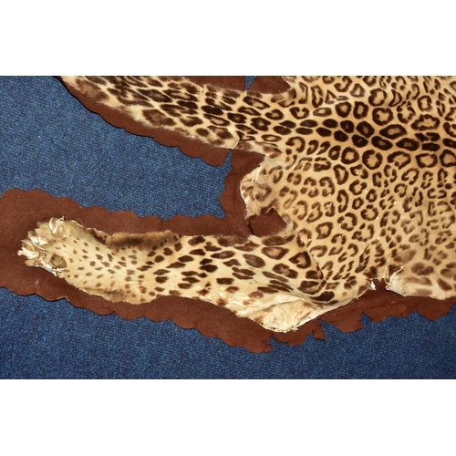 301 - TAXIDERMY: AN EARLY 20TH CENTURY LEOPARD SKIN RUG WITH MOUNTED HEAD ATTACHED, with glass eyes and op... 