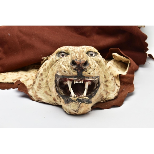 301 - TAXIDERMY: AN EARLY 20TH CENTURY LEOPARD SKIN RUG WITH MOUNTED HEAD ATTACHED, with glass eyes and op... 