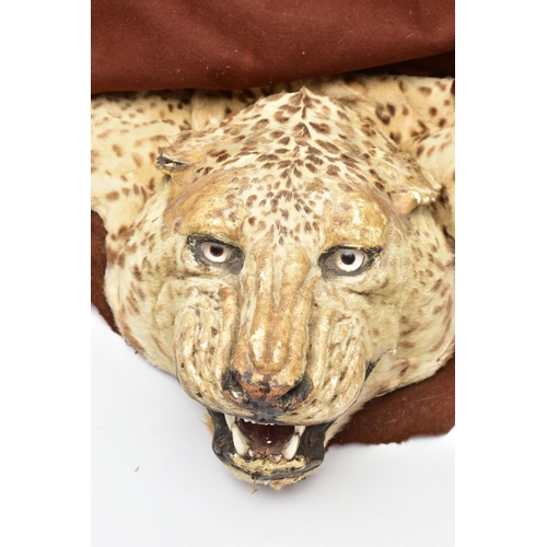 301 - TAXIDERMY: AN EARLY 20TH CENTURY LEOPARD SKIN RUG WITH MOUNTED HEAD ATTACHED, with glass eyes and op... 