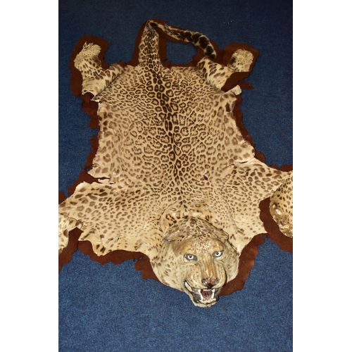 301 - TAXIDERMY: AN EARLY 20TH CENTURY LEOPARD SKIN RUG WITH MOUNTED HEAD ATTACHED, with glass eyes and op... 