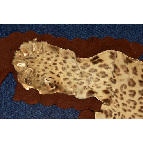 301 - TAXIDERMY: AN EARLY 20TH CENTURY LEOPARD SKIN RUG WITH MOUNTED HEAD ATTACHED, with glass eyes and op... 