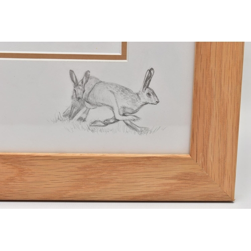 399 - SUE WARNER (BRITISH CONTEMPORARY) 'HARES', a detailed study of two hares, signed bottom left, waterc... 