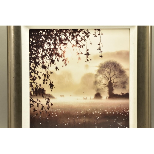 402 - JOHN WATERHOUSE (BRITISH 1967) 'ENCHANTED DAY', a signed limited edition print depicting a foggy day... 