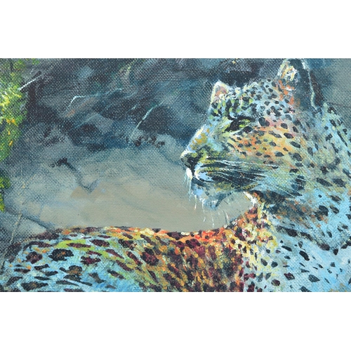 404 - ROLF HARRIS (AUSTRALIA 1930) 'LEOPARD RECLINING AT DUSK' limited edition print on canvas 129/195, si... 