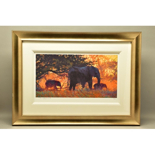 406 - ROLF HARRIS (AUSTRALIAN 1930) 'BACKLIT GOLD' a limited edition print 57/195 depicting elephants, sig... 