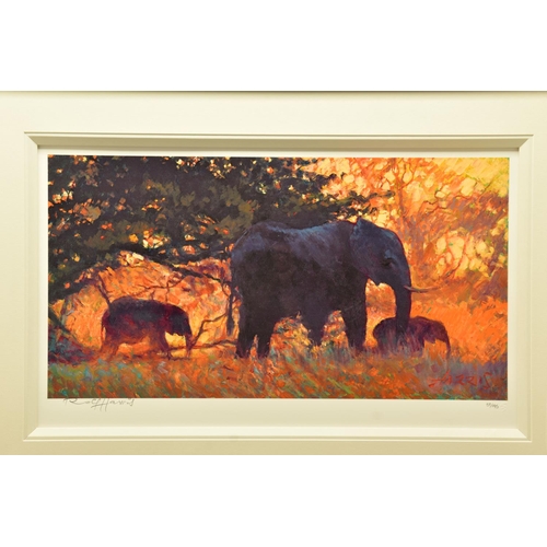 406 - ROLF HARRIS (AUSTRALIAN 1930) 'BACKLIT GOLD' a limited edition print 57/195 depicting elephants, sig... 