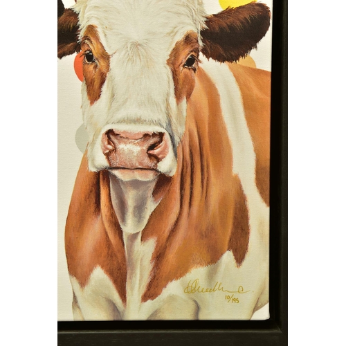 409 - HAYLEY GOODHEAD (BRITISH CONTEMPORARY) 'DAMIENS HERD', a limited edition print on canvas 10/195, cow... 