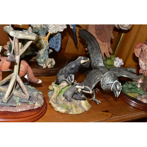 443 - A GROUP OF RESIN ANIMAL AND BIRD FIGURES, to include Border Fine Arts A0001 The Scrounger, Brooks & ... 