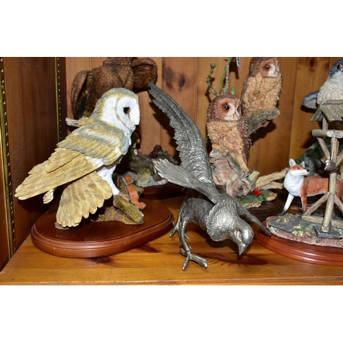 443 - A GROUP OF RESIN ANIMAL AND BIRD FIGURES, to include Border Fine Arts A0001 The Scrounger, Brooks & ... 