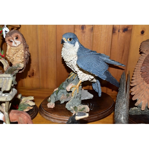 443 - A GROUP OF RESIN ANIMAL AND BIRD FIGURES, to include Border Fine Arts A0001 The Scrounger, Brooks & ... 