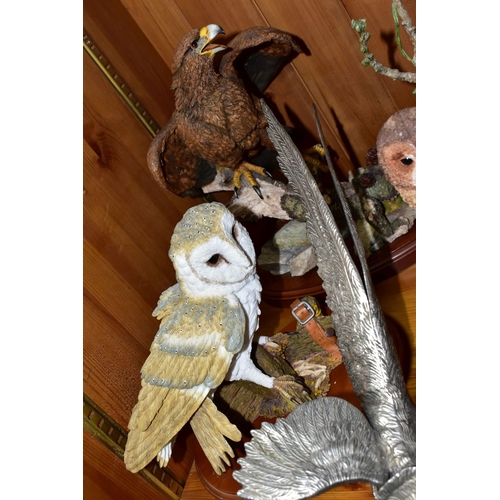 443 - A GROUP OF RESIN ANIMAL AND BIRD FIGURES, to include Border Fine Arts A0001 The Scrounger, Brooks & ... 