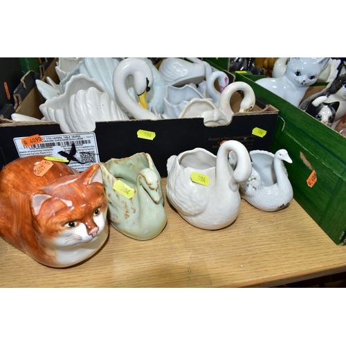 504 - THREE BOXES OF CERAMIC CATS AND SWANS, to include  over twenty four swan pots and planters, Crown De... 