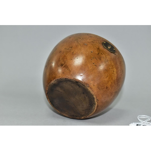 536 - A REPRODUCTION FRUIT WOOD TEA CADDY IN THE FORM OF AN APPLE, hinged, metal lining, brass escutcheon ... 