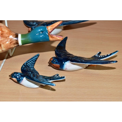 602 - THREE BESWICK FLYING DUCKS, sizes 596-1, 596-2 and 596-3, some crazing to the glaze with white paint... 