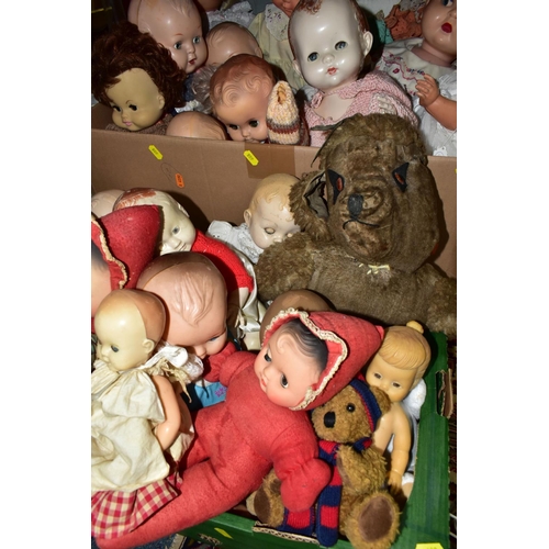 608 - FOUR BOXES OF DOLLS AND SOFT TOYS, to include over forty baby dolls ranging in ages from 1930's, 194... 