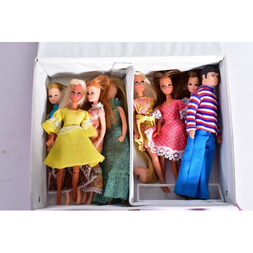 32 - A COLLECTION OF PALITOY PIPPA AND FRIENDS DOLLS AND CLOTHING, Pippa, Britt, Marie, Tammie, Rosemary/... 