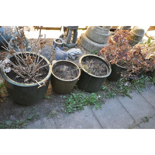 1025 - SEVEN VARIOUS GLAZED PLANTERS, of various sizes, four containing plants, largest planter diameter 42... 