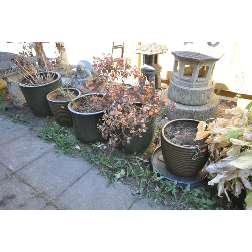 1025 - SEVEN VARIOUS GLAZED PLANTERS, of various sizes, four containing plants, largest planter diameter 42... 