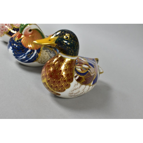 355 - THREE ROYAL CROWN DERBY PAPERWEIGHTS, comprising Quail, gold stopper, Mandarin Duck, silver stopper ... 