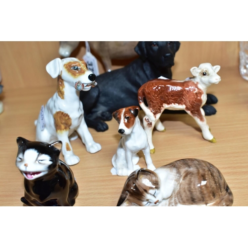 379 - A GROUP OF SEVEN ROYAL DOULTON, BESWICK AND BORDER FINE ARTS ANIMALS, the Royal Doulton comprising s... 