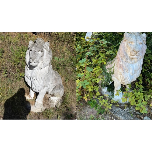 1045 - AN OPPOSING PAIR OF COMPOSITE SITTING LION GARDEN FIGURES on oval bases 160cm long and 46cm wide tot... 