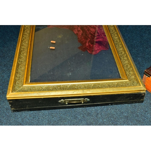 183 - TWO WOODEN DISPLAY CASES, each of a rectangular form, the first fitted with a gilt frame and glass l... 