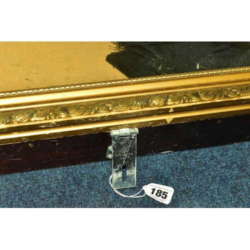 185 - A LARGE FRAMED DISPLAY CASE, rectangular framed, glass lidded display case, hinge fittings, fitted w... 