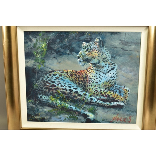 310 - ROLF HARRIS (AUSTRALIA 1930) 'LEOPARD RECLINING AT DUSK' a signed limited edition print on canvas, 8... 