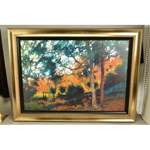 322 - ROLF HARRIS (AUSTRALIA 1939) ' BUSH SUNSET', a signed limited edition print depicting an Australian ... 