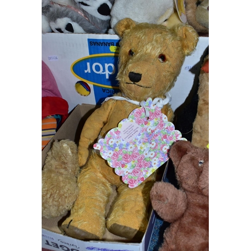 386 - A VINTAGE GOLDEN PLUSH TEDDY BEAR AND A BOX OF SOFT TOYS, the bear in much loved condition, glass ey... 