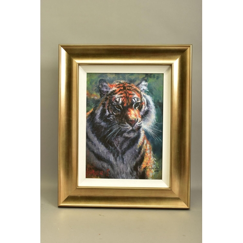 305 - ROLF HARRIS (AUSTRALIA 1931) 'TIGER IN THE SUN', a signed limited edition print on canvas, 67/195 wi... 