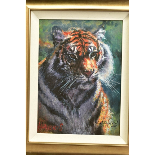 305 - ROLF HARRIS (AUSTRALIA 1931) 'TIGER IN THE SUN', a signed limited edition print on canvas, 67/195 wi... 