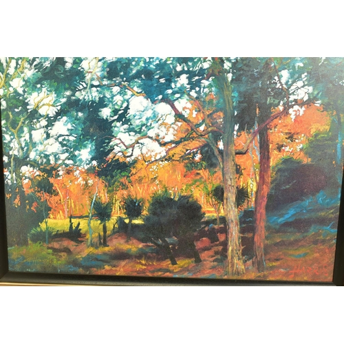 322 - ROLF HARRIS (AUSTRALIA 1939) ' BUSH SUNSET', a signed limited edition print depicting an Australian ... 