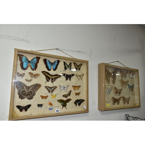 457 - TWO TWENTIETH CENTURY CASES OF EXOTIC BUTTERFLIES AND MOTHS to include thirty three butterflies and ... 