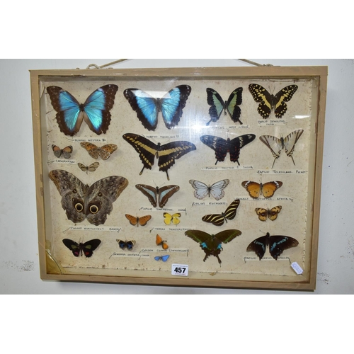 457 - TWO TWENTIETH CENTURY CASES OF EXOTIC BUTTERFLIES AND MOTHS to include thirty three butterflies and ... 