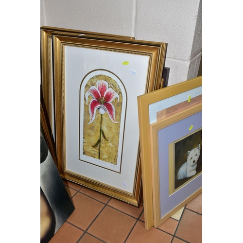 491 - TWO LIMITED EDITION KELLY JANE PRINTS TITLED 'PARADING POPPY' AND 'STUNNING STARGAZER', both 62/850 ... 