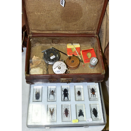 528 - ENTOMOLOGY & FISHING, two cases (one incomplete) containing twenty-two specimens of Insect to includ... 