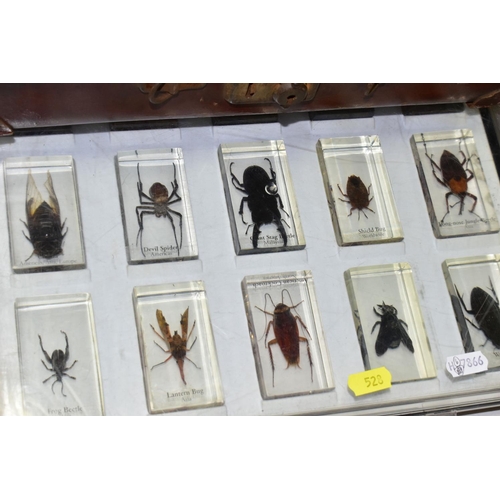 528 - ENTOMOLOGY & FISHING, two cases (one incomplete) containing twenty-two specimens of Insect to includ... 