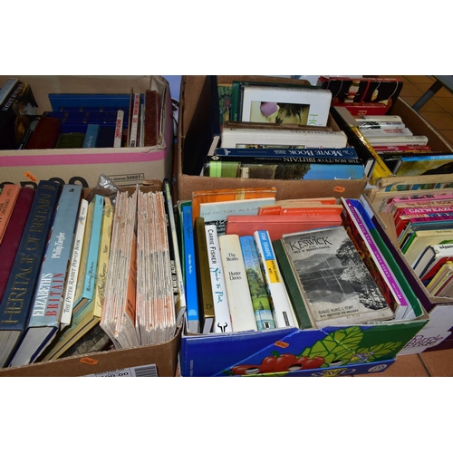 539 - BOOKS, six boxes containing approximately 110-120 miscellaneous titles in hardback and paperback for... 