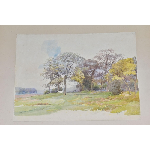 546 - ERNEST ALBERT CHADWICK (BRITISH, 1876-1955), unfinished rural landscape, unsigned, mounted on card, ... 