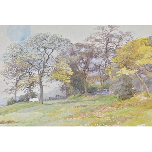 546 - ERNEST ALBERT CHADWICK (BRITISH, 1876-1955), unfinished rural landscape, unsigned, mounted on card, ... 