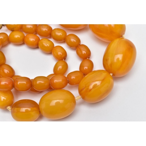 15 - A BAKELITE BEAD NECKLACE, a single row of graduated oval beads, forty one in total, largest measurin... 