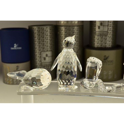 165 - TEN BOXED SWAROVSKI CRYSTAL ORNAMENTS, from various collections, comprising three from African Wildl... 