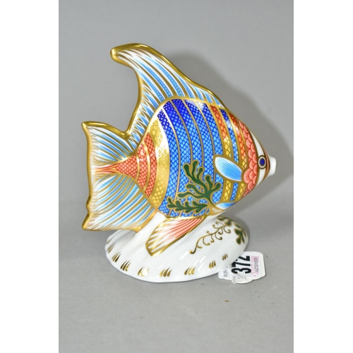 372 - A ROYAL CROWN DERBY 'PACIFIC ANGEL FISH' PAPERWEIGHT, limited edition numbered 2032/2500, having red... 