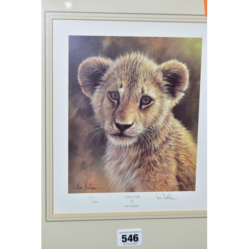 546 - FIVE SIGNED LIMITED EDITION WILDLIFE  PRINTS, comprising a set of four Ian Nathan prints, Puma Cub, ... 