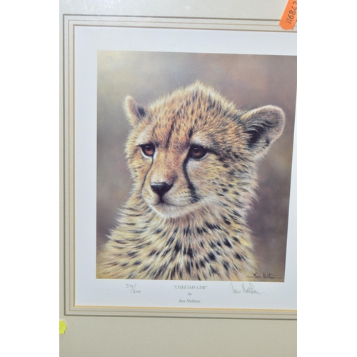 546 - FIVE SIGNED LIMITED EDITION WILDLIFE  PRINTS, comprising a set of four Ian Nathan prints, Puma Cub, ... 