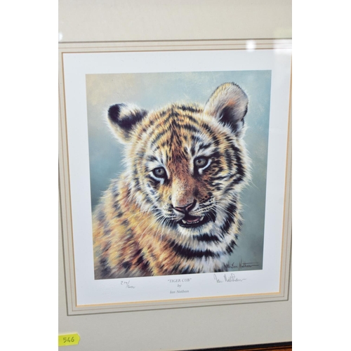 546 - FIVE SIGNED LIMITED EDITION WILDLIFE  PRINTS, comprising a set of four Ian Nathan prints, Puma Cub, ... 