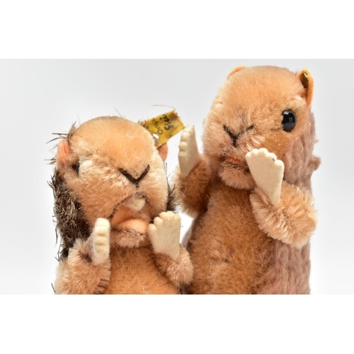 980A - TWO STEIFF POST-WAR TOYS, comprising a beaver and a hamster, the beaver with partial yellow tag and ... 