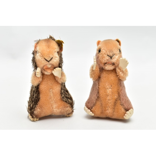 980A - TWO STEIFF POST-WAR TOYS, comprising a beaver and a hamster, the beaver with partial yellow tag and ... 